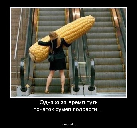 Однако за время пути початок сумел подрасти...