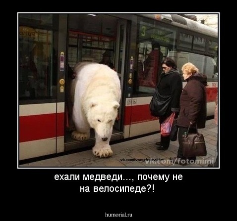 ехали медведи..., почему не на велосипеде?!