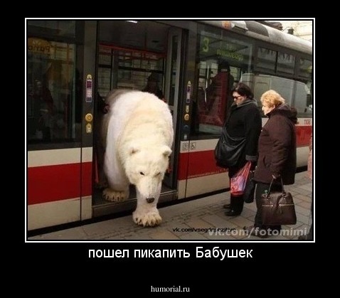 пошел пикапить Бабушек
