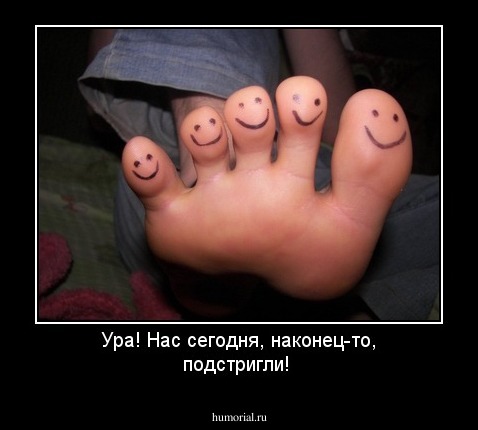 Ура! Нас сегодня, наконец-то,  подстригли!
