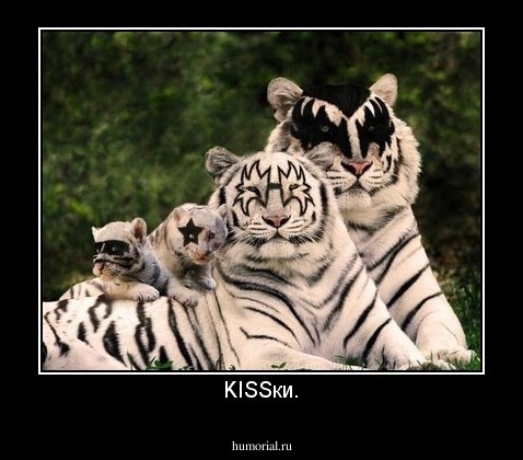 KISSки.