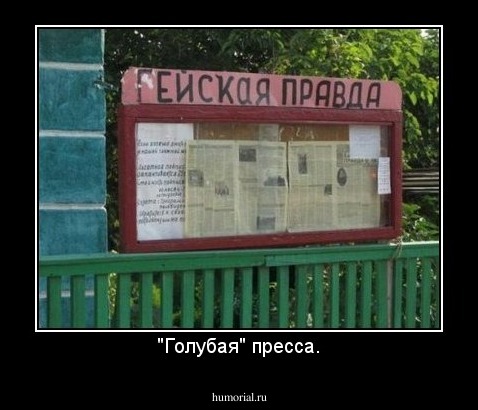 "Голубая" пресса.