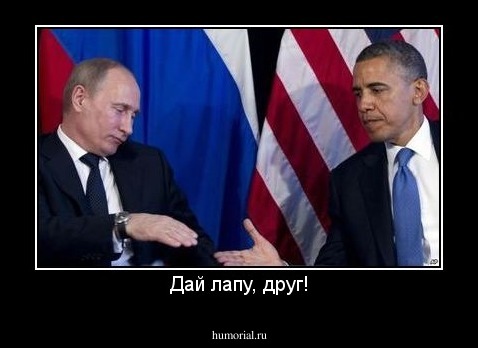 Дай лапу, друг!