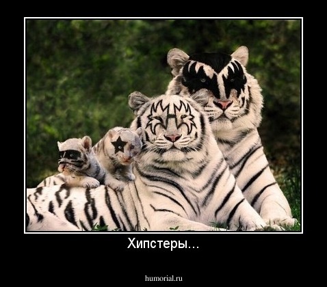 Хипстеры...