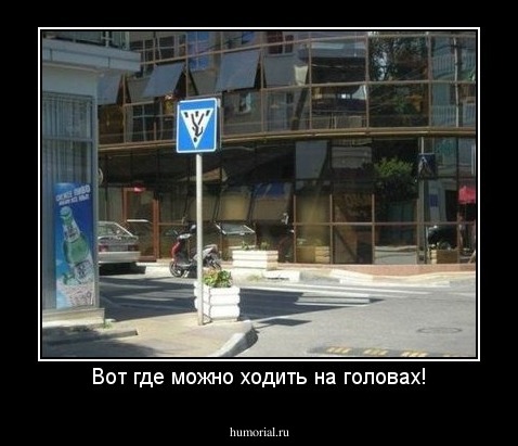 Вот где можно ходить на головах!
