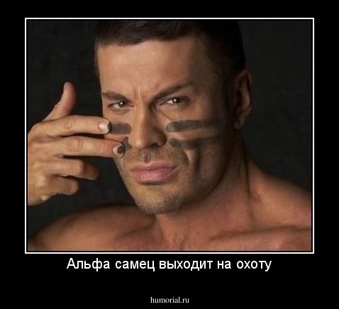 Альфа самец выходит на охоту