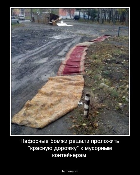 Пафосные бомжи решили проложить "красную дорожку" к мусорным контейнерам