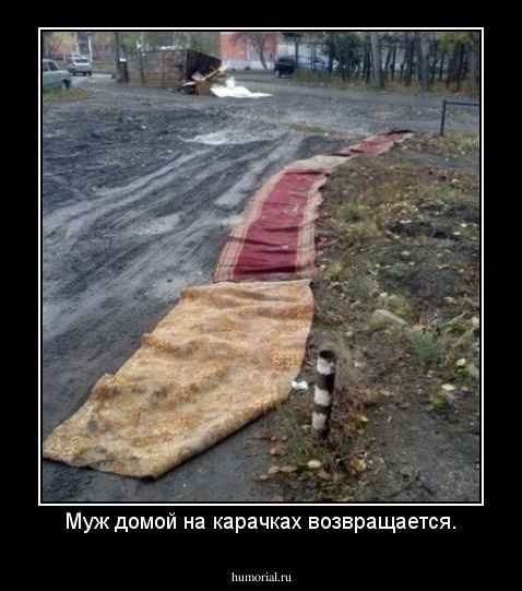 Муж домой на карачках возвращается.