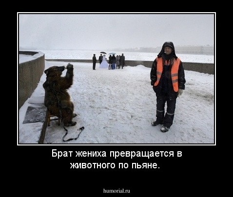 Брат жениха превращается в животного по пьяне.