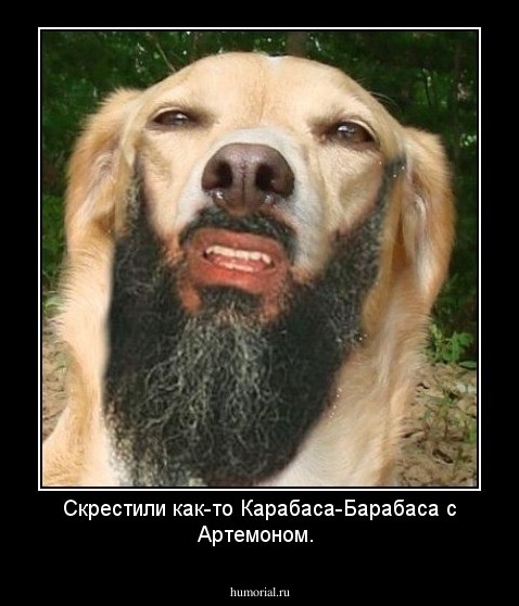 Скрестили как-то Карабаса-Барабаса с Артемоном.