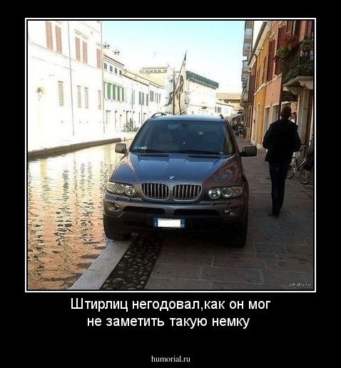 Штирлиц негодовал,как он мог не заметить такую немку