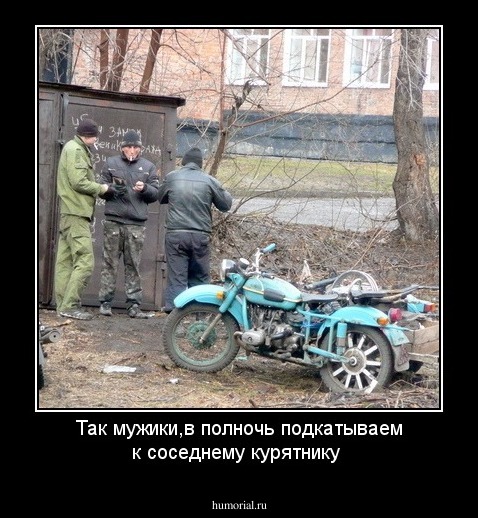 Так мужики,в полночь подкатываем к соседнему курятнику