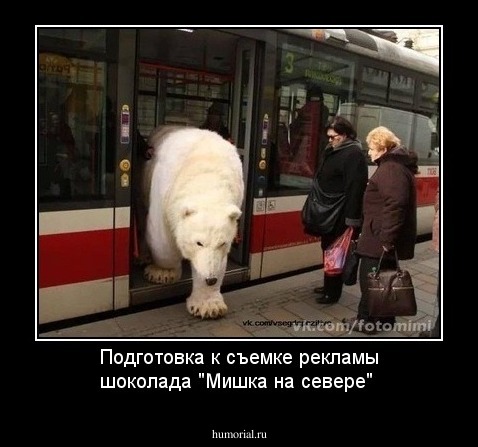 Подготовка к съемке рекламы шоколада "Мишка на севере"