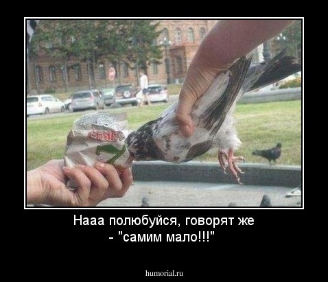 Нааа полюбуйся, говорят же  - "самим мало!!!"