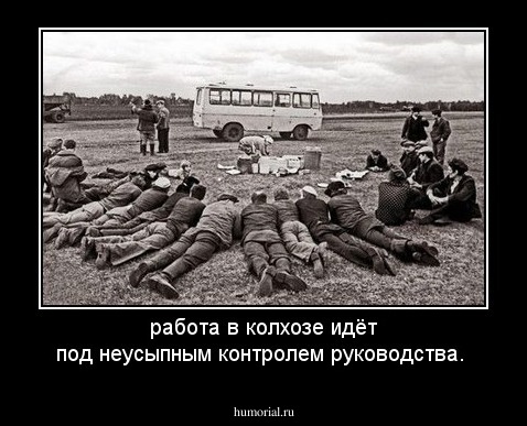 работа в колхозе идёт под неусыпным контролем руководства.