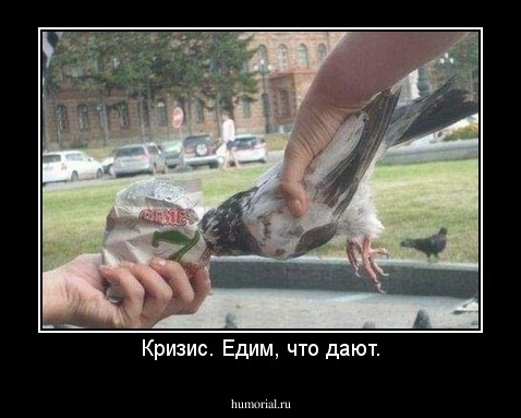 Кризис. Едим, что дают.