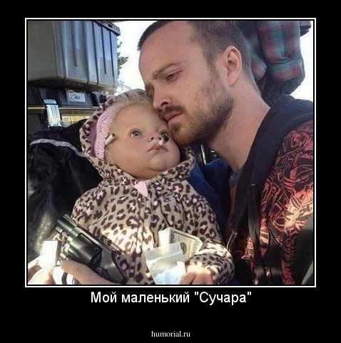 Мой маленький "Сучара"