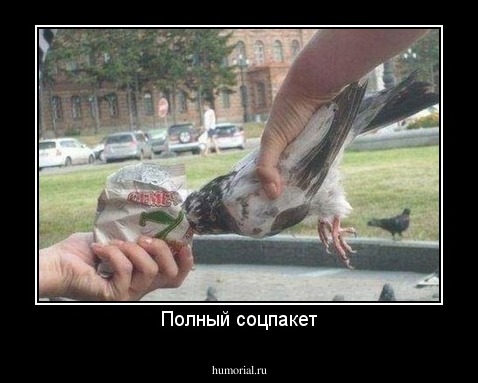 Полный соцпакет