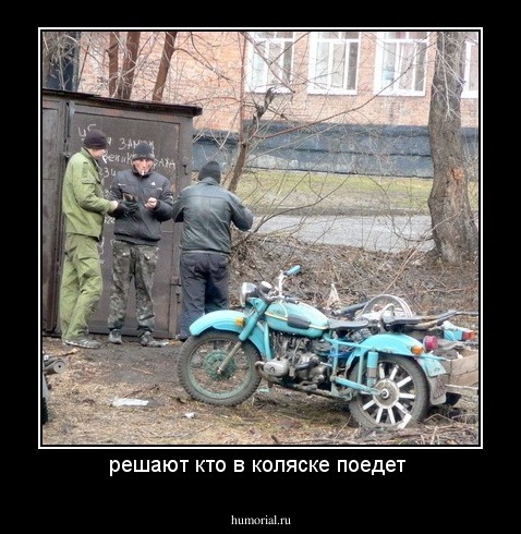 решают кто в коляске поедет 