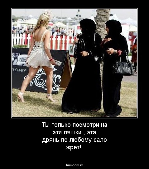 Ты только посмотри на эти ляшки , эта дрянь по любому сало жрет!