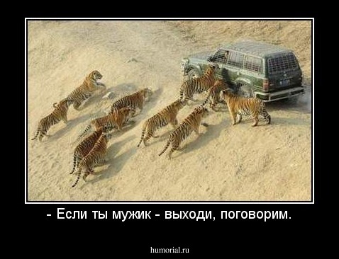 - Если ты мужик - выходи, поговорим.