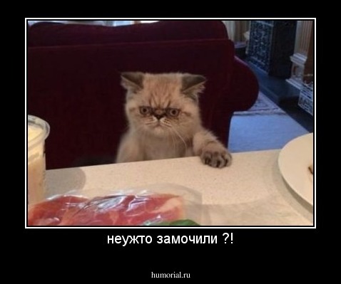 неужто замочили ?!