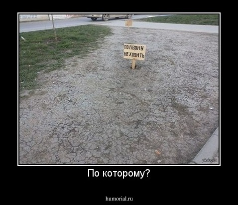 По которому?