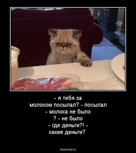 - я тебя за молоком посылал? 
- посылал 
- молока не было ? 
- не было 
- где деньги?!
- какие деньги?