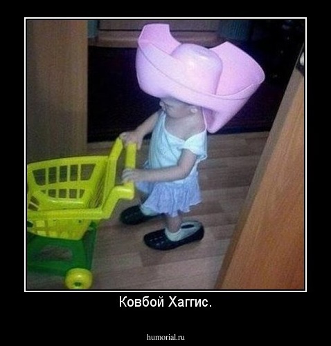 Ковбой Хаггис.