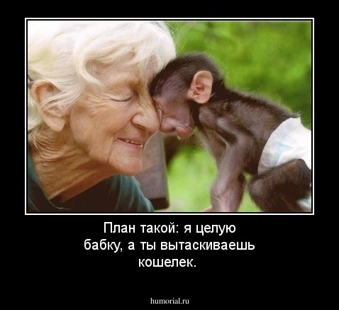 План такой: я целую бабку, а ты вытаскиваешь кошелек.