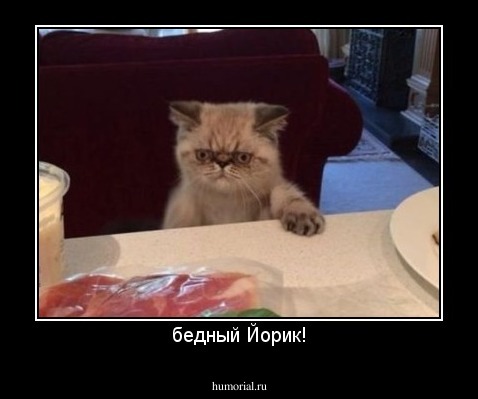 бедный Йорик!