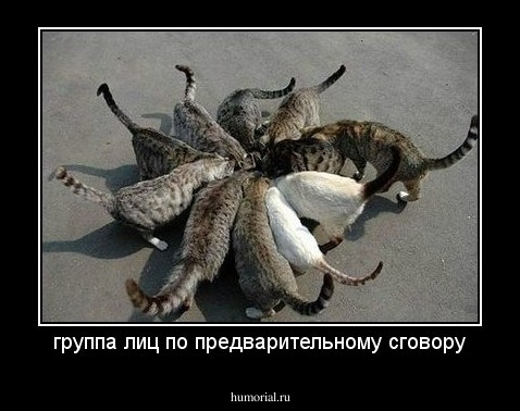 группа лиц по предварительному сговору