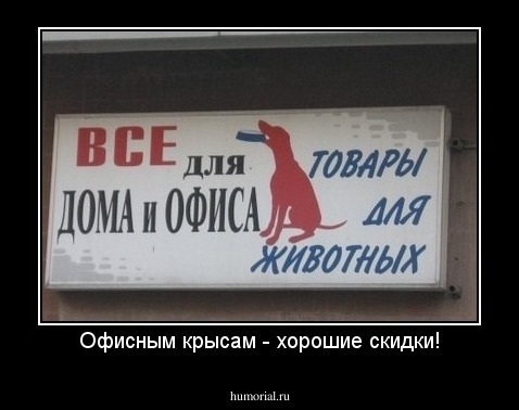 Офисным крысам - хорошие скидки!
