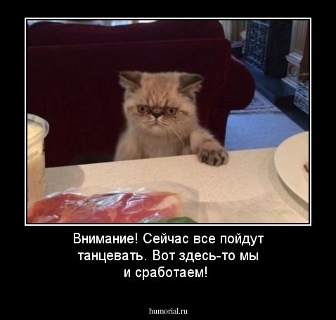 Внимание! Сейчас все пойдут танцевать. Вот здесь-то мы и сработаем!