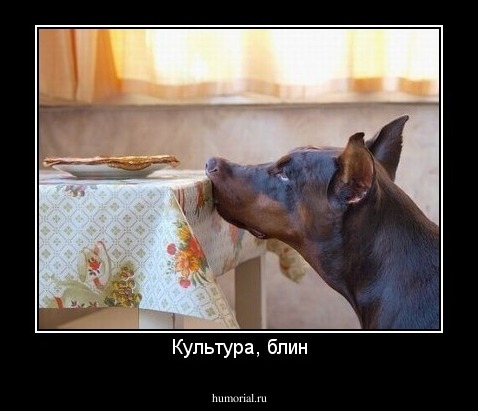 Культура, блин