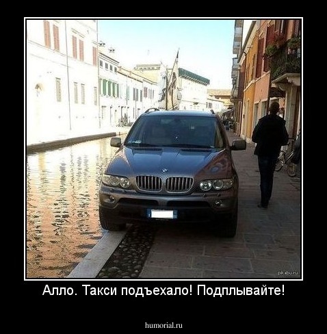Алло. Такси подъехало! Подплывайте!