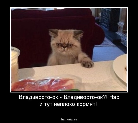 Владивосто-ок - Владивосто-ок?! Нас и тут неплохо кормят!