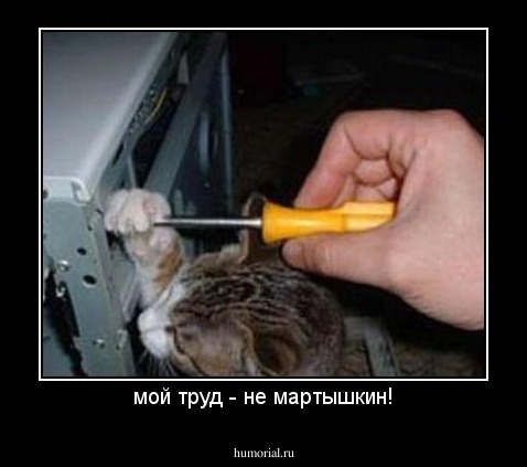 мой труд - не мартышкин!