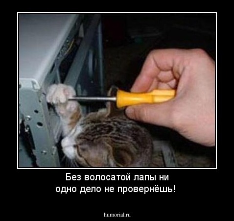 Без волосатой лапы ни одно дело не провернёшь!
