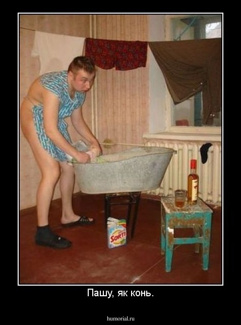 Пашу, як конь.