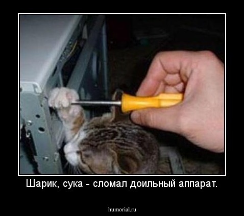 Шарик, сука - сломал доильный аппарат.