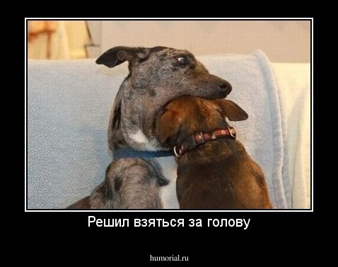 Решил взяться за голову