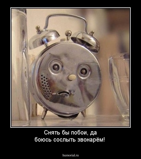 Снять бы побои, да боюсь сослыть звонарём!
