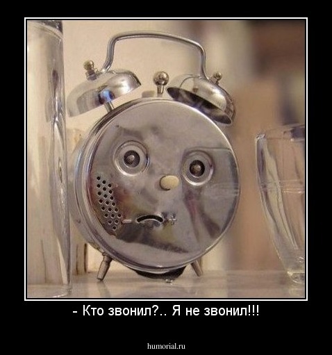 - Кто звонил?.. Я не звонил!!!