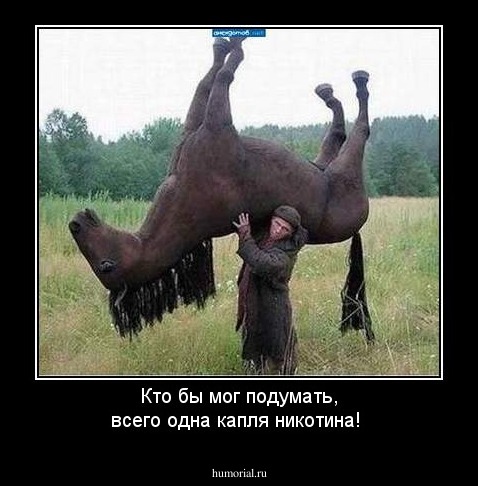 Кто бы мог подумать, всего одна капля никотина!