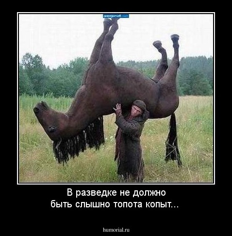 В разведке  не должно быть слышно топота копыт...