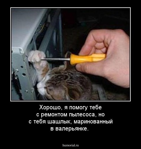 Хорошо, я помогу тебе с ремонтом пылесоса, но с тебя шашлык, маринованный в валерьянке. 