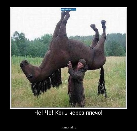 Чё! Чё! Конь через плечо!