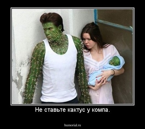 Не ставьте кактус у компа.