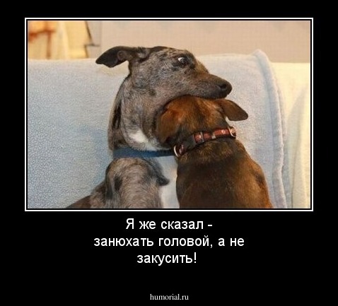 Я же сказал -  занюхать головой, а не закусить!